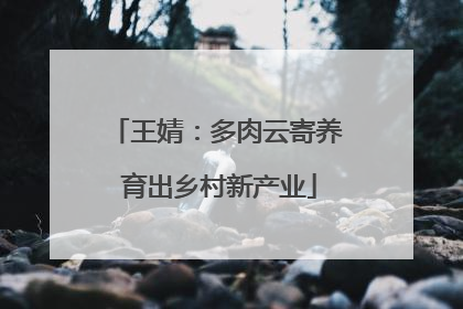 王婧：多肉云寄养 育出乡村新产业