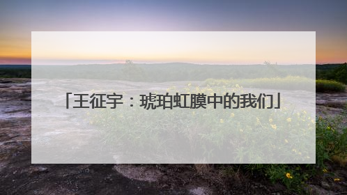 王征宇：琥珀虹膜中的我们