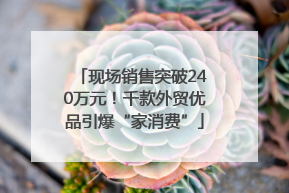 现场销售突破240万元！千款外贸优品引爆“家消费”