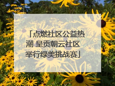 点燃社区公益热潮 呈贡朝云社区举行绿美挑战赛