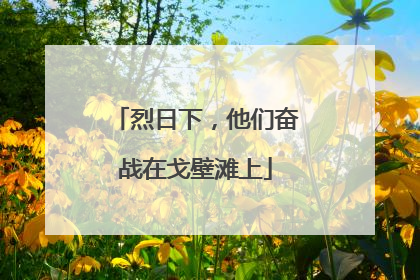 烈日下，他们奋战在戈壁滩上