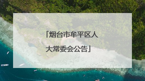 烟台市牟平区人大常委会公告
