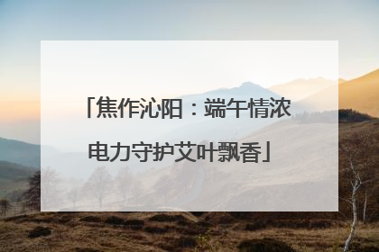 焦作沁阳：端午情浓 电力守护艾叶飘香