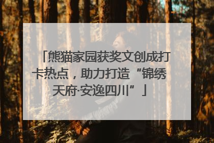 熊猫家园获奖文创成打卡热点，助力打造“锦绣天府·安逸四川”