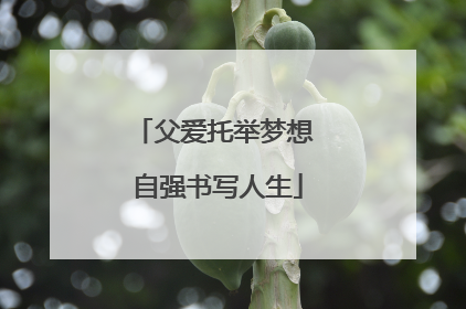 父爱托举梦想 自强书写人生