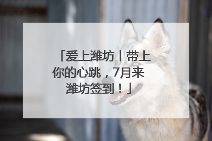 爱上潍坊丨带上你的心跳，7月来潍坊签到！