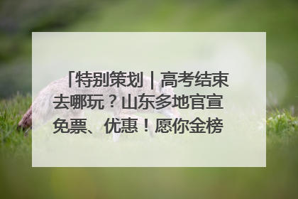特别策划｜高考结束去哪玩？山东多地官宣免票、优惠！愿你金榜题名，更愿你在旅途中找到新的自己！