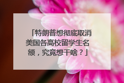 特朗普想彻底取消美国各高校留学生名额，究竟想干啥？
