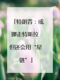 特朗普：或挪走特斯拉 但还会用“星链”