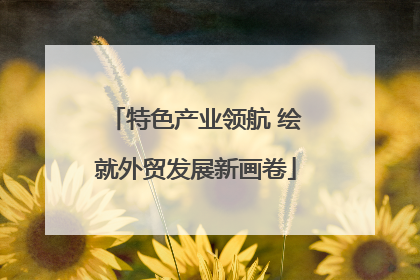 特色产业领航 绘就外贸发展新画卷