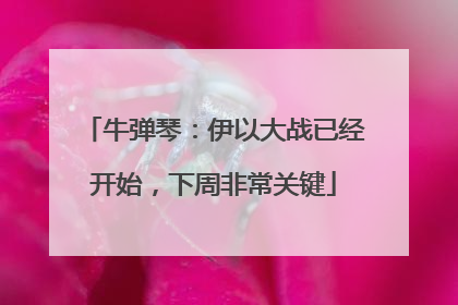 牛弹琴：伊以大战已经开始，下周非常关键