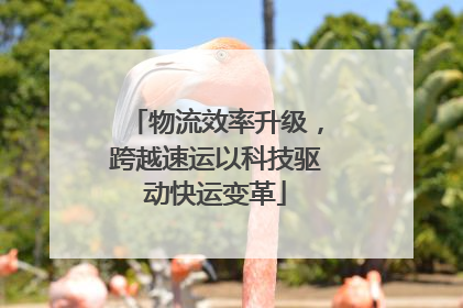 物流效率升级，跨越速运以科技驱动快运变革