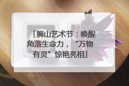 狮山艺术节：唤醒角落生命力，“万物有灵”惊艳亮相