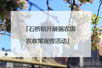 石桥镇开展强农惠农政策宣传活动