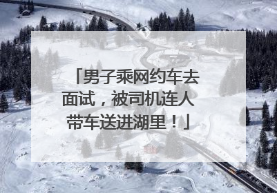 男子乘网约车去面试，被司机连人带车送进湖里！