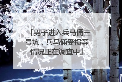 男子进入兵马俑三号坑，兵马俑受损等情况正在调查中