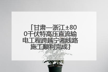 甘肃—浙江±800千伏特高压直流输电工程跨越宁湘线路施工顺利完成
