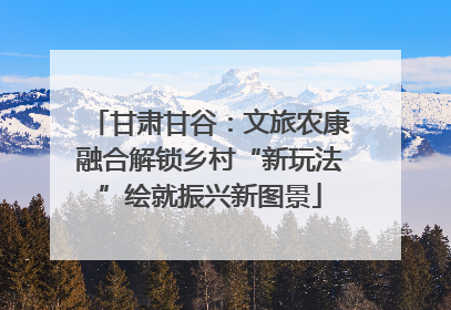 甘肃甘谷：文旅农康融合解锁乡村“新玩法”绘就振兴新图景