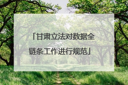 甘肃立法对数据全链条工作进行规范