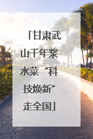 甘肃武山千年浆水菜“科技焕新”走全国