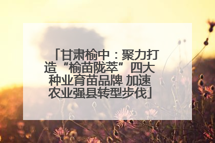 甘肃榆中：聚力打造“榆苗陇萃”四大种业育苗品牌 加速农业强县转型步伐