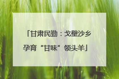 甘肃民勤：戈壁沙乡孕育“甘味”领头羊