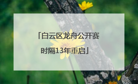 白云区龙舟公开赛时隔13年重启