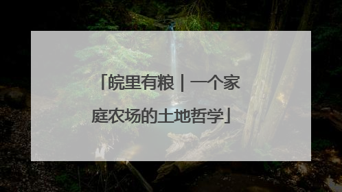 皖里有粮｜一个家庭农场的土地哲学