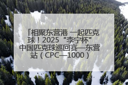 相聚东营港 一起匹克球！2025“李宁杯”中国匹克球巡回赛—东营站（CPC—1000）暨“好运山东”黄河口匹克球公开赛落幕