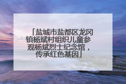 盐城市盐都区龙冈镇杨斌村组织儿童参观杨斌烈士纪念馆，传承红色基因