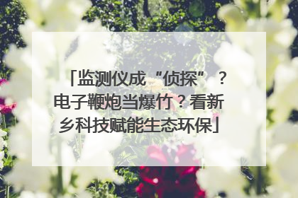监测仪成“侦探”？电子鞭炮当爆竹？看新乡科技赋能生态环保