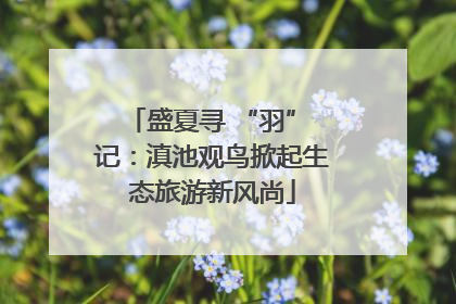 盛夏寻 “羽” 记：滇池观鸟掀起生态旅游新风尚