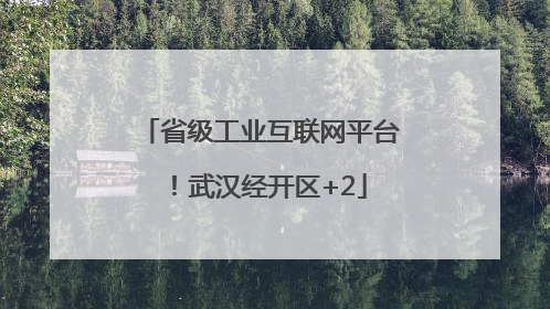省级工业互联网平台！武汉经开区+2