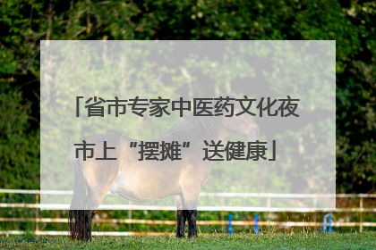 省市专家中医药文化夜市上“摆摊”送健康
