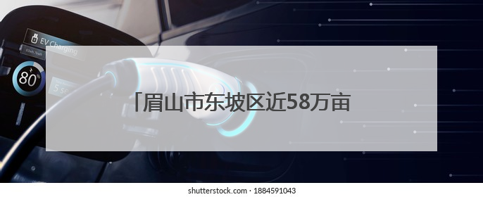 眉山市东坡区近58万亩水稻栽插面积超85%