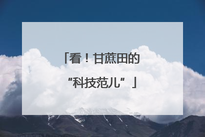 看！甘蔗田的“科技范儿”