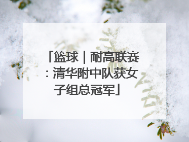 篮球｜耐高联赛：清华附中队获女子组总冠军