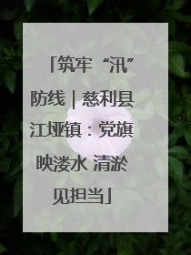 筑牢“汛”防线｜慈利县江垭镇：党旗映溇水 清淤见担当