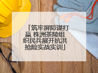 筑牢屏障谋打赢 株洲茶陵组织民兵展开抗洪抢险实战实训