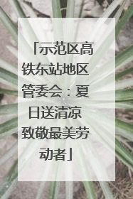 示范区高铁东站地区管委会：夏日送清凉 致敬最美劳动者