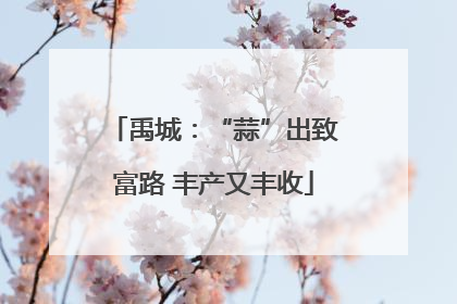 禹城：“蒜”出致富路 丰产又丰收