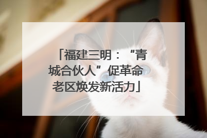 福建三明：“青城合伙人”促革命老区焕发新活力