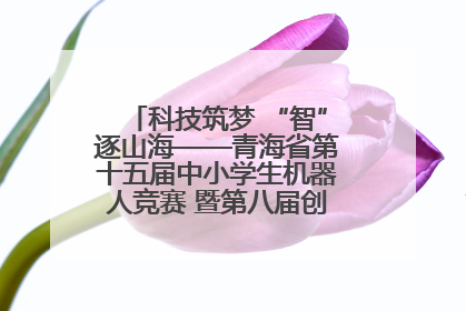 科技筑梦 “智”逐山海——青海省第十五届中小学生机器人竞赛 暨第八届创新设计大赛见闻