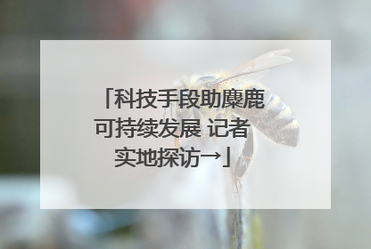 科技手段助麋鹿可持续发展 记者实地探访→