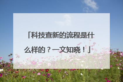 科技查新的流程是什么样的？一文知晓！