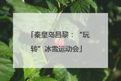 秦皇岛昌黎：“玩转”冰雪运动会
