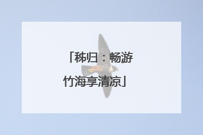 秭归：畅游竹海享清凉