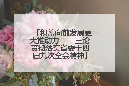 积蓄向前发展更大推动力——三论贯彻落实省委十四届九次全会精神