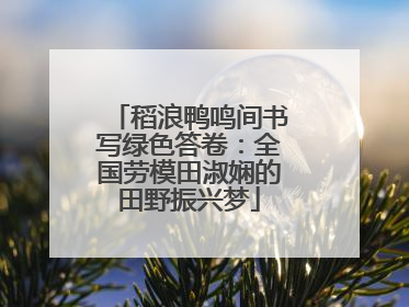 稻浪鸭鸣间书写绿色答卷：全国劳模田淑娴的田野振兴梦