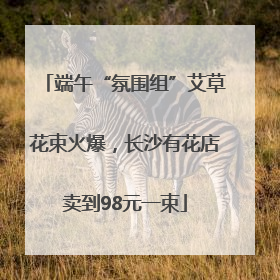 端午“氛围组”艾草花束火爆，长沙有花店卖到98元一束